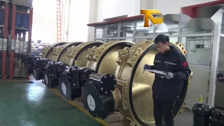 Soft Rubber FKM Seat Pressure Reducing Manual Butterfly Valves ABS Rina Dnv Lr Lloyd′s Register Approved Industrial Control Check Valves From Worlds Valve 
