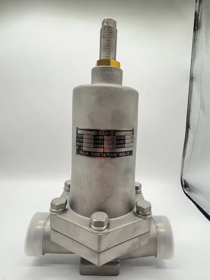 Cryogenic Pressure Air Regulator Pneumatic Control Valve 