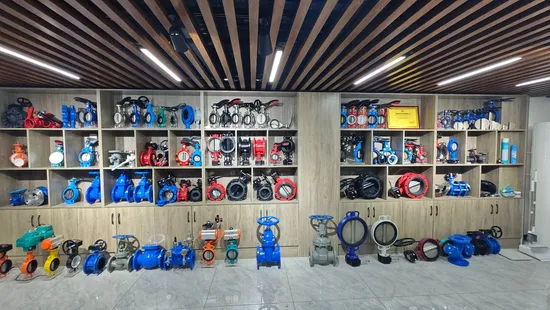 Gate Check Butterfly Ball Globe Balance Control Pneumatic Electric Industrial Valve 