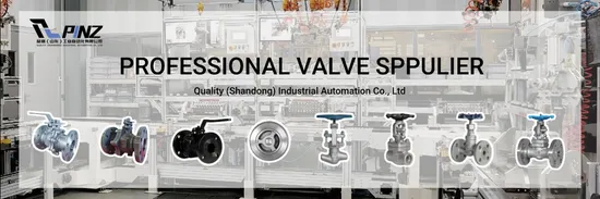 Q41 Cryogenic Ball Valve with Extended Bonnet for Ultra