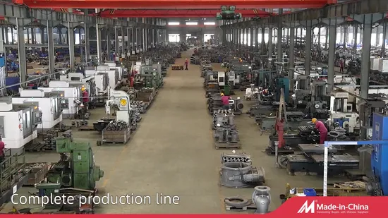 ODM Manufacturer Pn16 Ductile Iron/Stainless Steel Non Return/Swing/Dual Plate/Disc/Wafer Type Pressure Relief/Control/Ball/Globe/Gate/Butterfly/Check Valve 