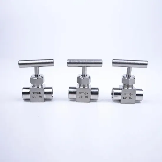 Stainless Steel 304 Straight Shank Inner Wire Gas Angle Globe Valves 