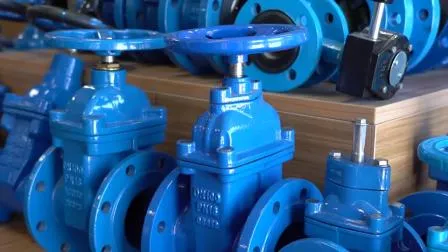 DIN3356 Pn16 Cast Iron Straight Globe Valve 