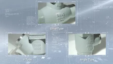 Globe Valve Ammonia Straight Type 