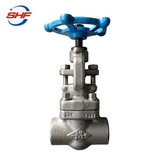 API 602 Stainless Steel Straight Through Globe Valve with Thread/NPT/Bsp/Screw 